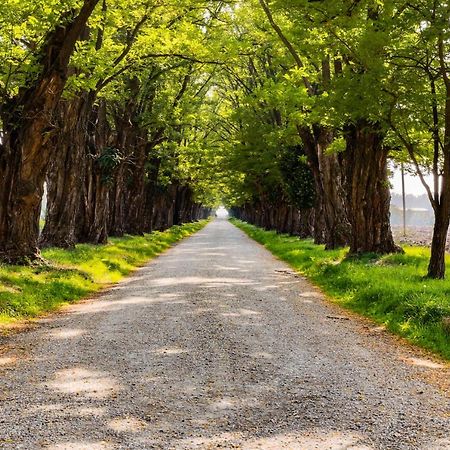 Agriturismo Le Corti Della Gualdana Villa Voghera Luaran gambar